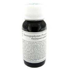 08N HARPAGOPHYTUM PROC COMP 60