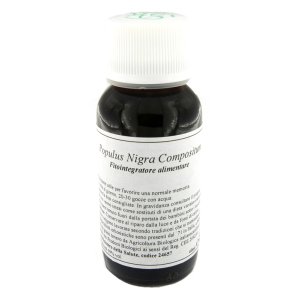 LVS 43N Populus Nigra Comp.