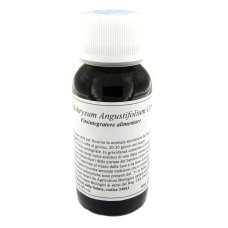 47C HELICHRYSUM ANGUSTIF COMP