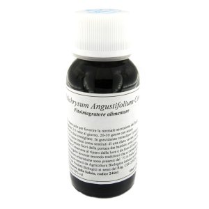 47C HELICHRYSUM ANGUSTIF COMP