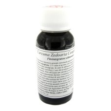 LVS 55S Curcuma Zedoaria Comp.
