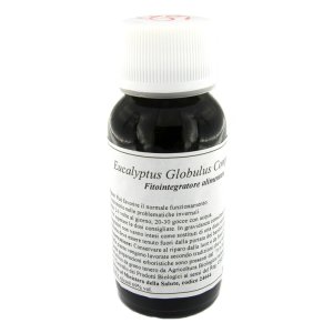 56S EUCALYPTUS GLOBULUS COMP