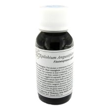 82C EPILOBIUM ANGUSTIF COMP 60