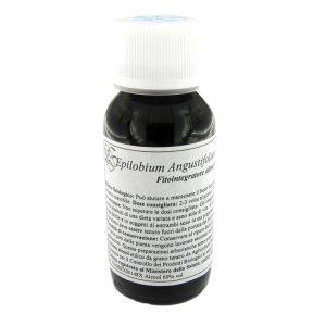 82C EPILOBIUM ANGUSTIF COMP 60