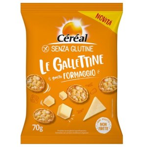 CEREAL Gallettine Formaggio70g