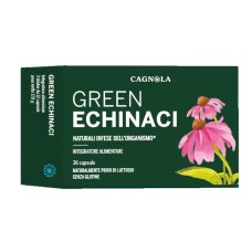 GREEN ECHINACI 36CPS GREEN ECHINACI 36CPS