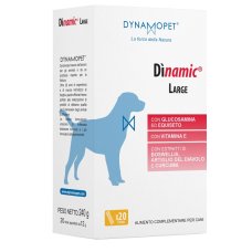 DINAMIC LARGE 20 Stick 12g