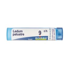 BO.LEDUM PALUSTRE Tubo  9CH