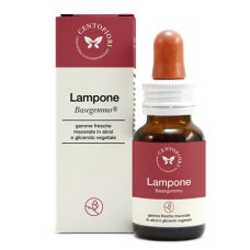BASEGEMMO LAMPONE 30ML