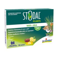 STODAL Plants 36 Past.Limone STODAL Plants 36 Past.Limone