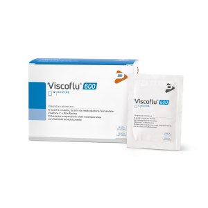 VISCOFLU*600 12 Bust.