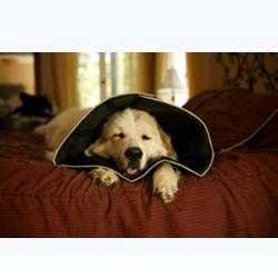 COMFY CONE MEDIUM 20 CM