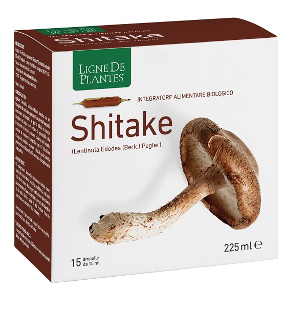 LIGNE SHITAKE BIO 15AMP 15ML